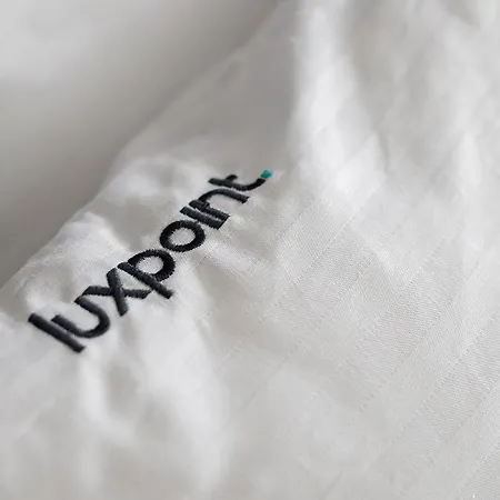 Luxpoint Apartment